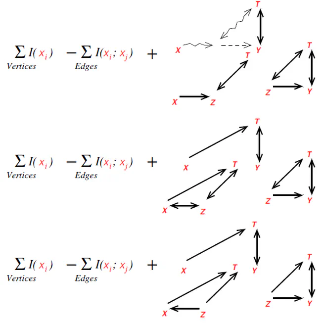 An efficient search-and-score algorithm for ancestral graphs using multivariate information scores