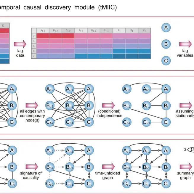 CausalXtract, a flexible pipeline to extract causal effects from live-cell time-lapse imaging data